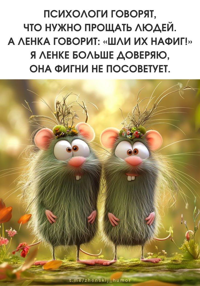 Женский юмор ❤️