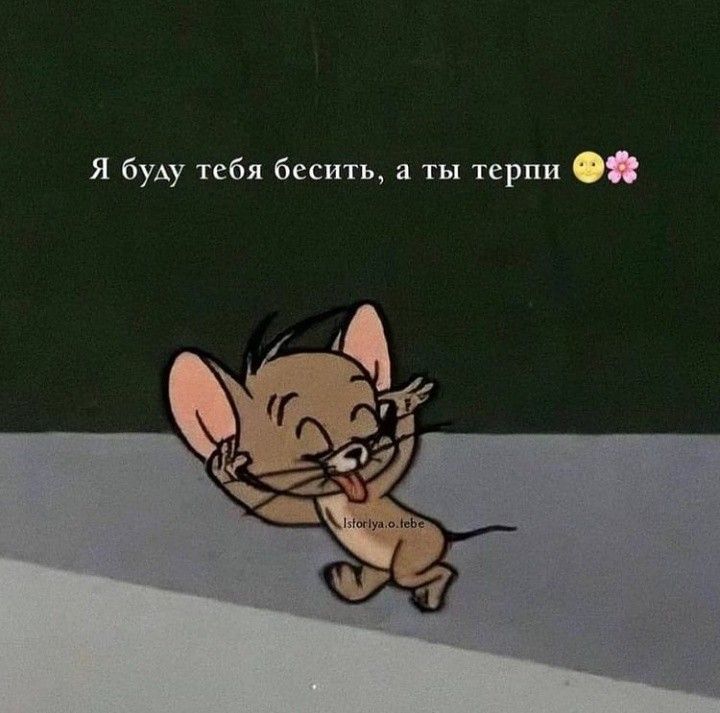 мышка🌸
