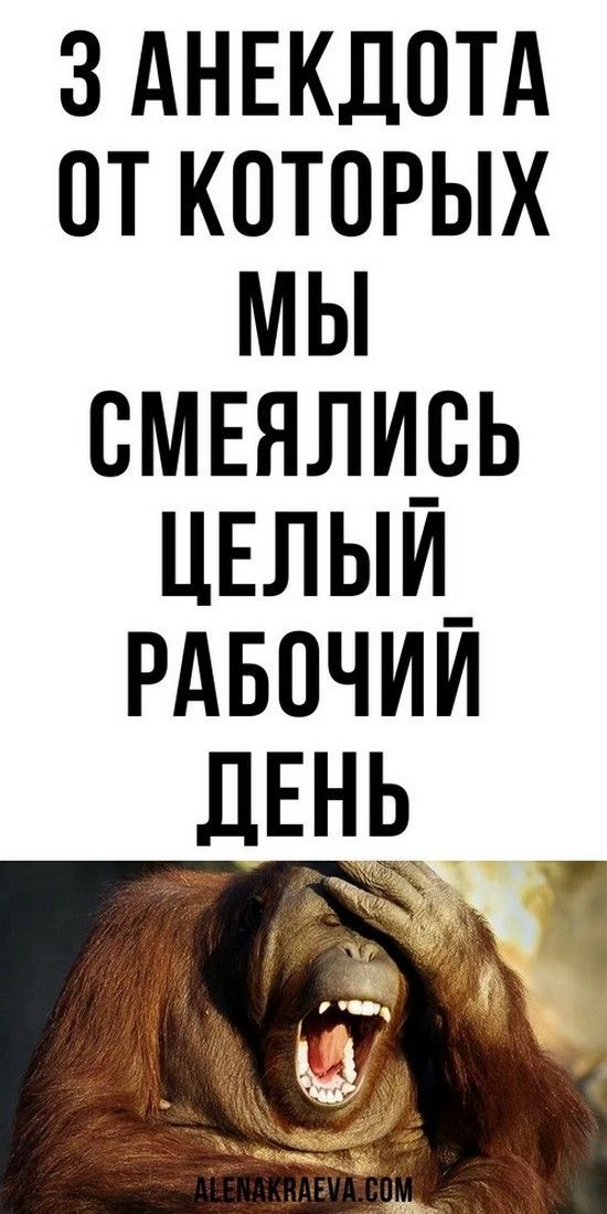 Самые лучшая подборка юмора, смешно до слез | Счастливая Леди