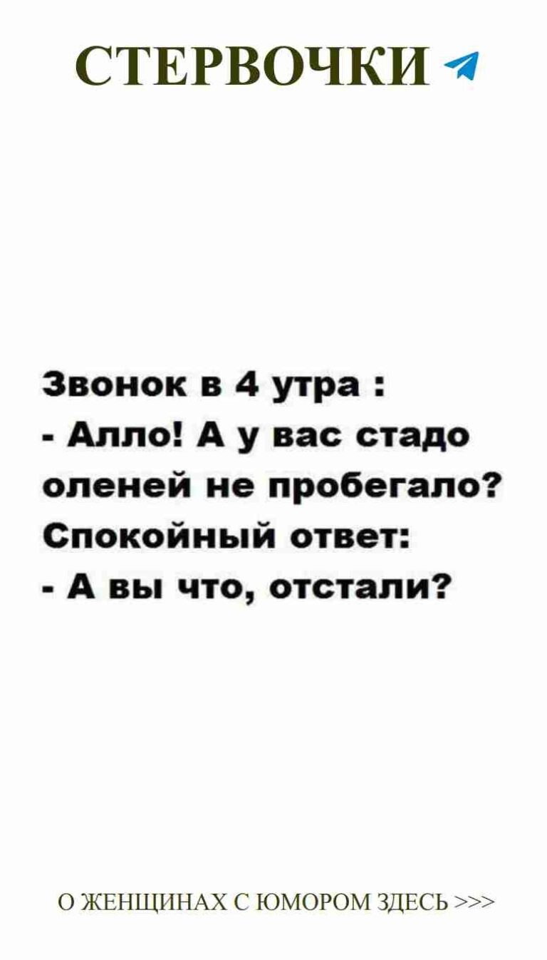 Смешные цитаты о любви и материнстве для девушек