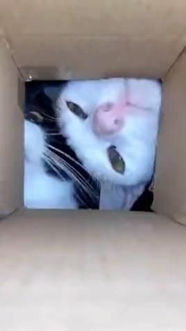 Окно регистратуры 😂