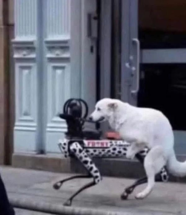 Hmmm… I Think It’s Time for a Break From the Internet (30 Photos)