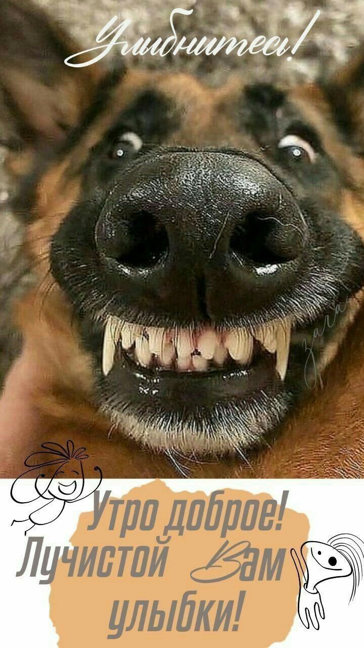 Улыбнись с Добрым утром