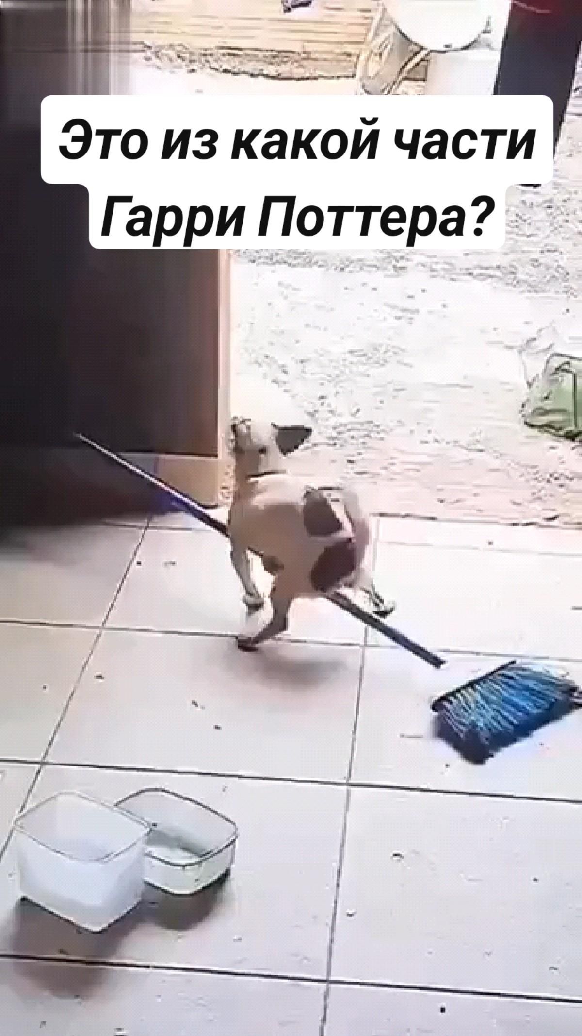 Это из какой части Гарри Поттера?