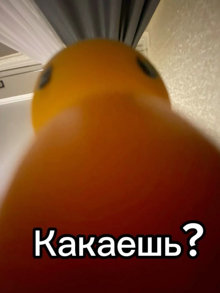 Какаешь? Или нет?