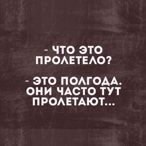 Мемы, приколы368