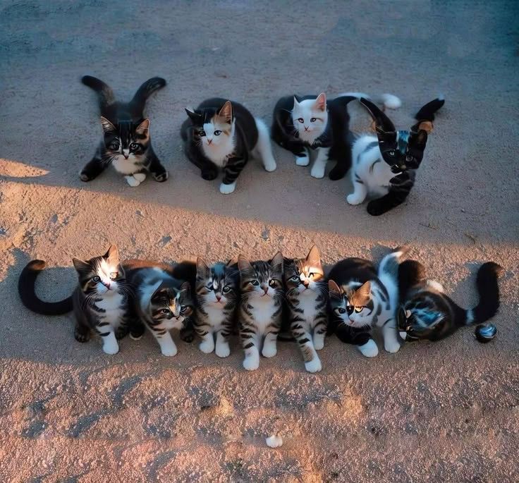 я первые создалааа