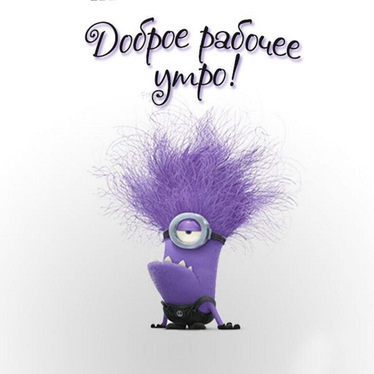 Доброе рабочее утро – смешные картинки и открытки труженикам