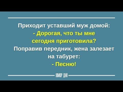 МУЖ и ЖЕНА забавные приколы | Смешные высказывания на каждый день – ЮМОР ДНЯ