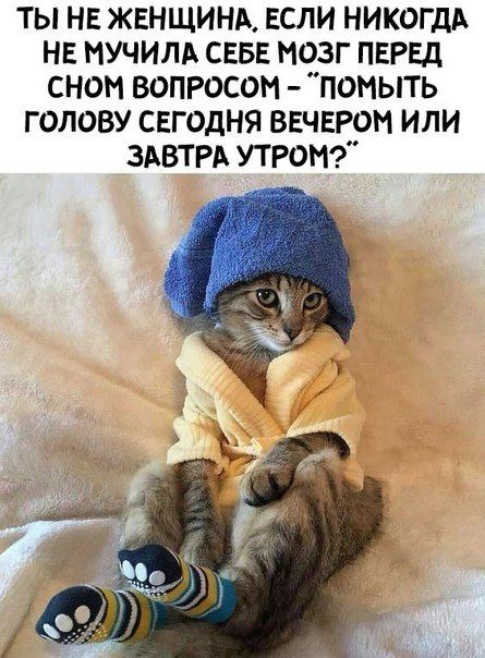 Закусон под Самогон