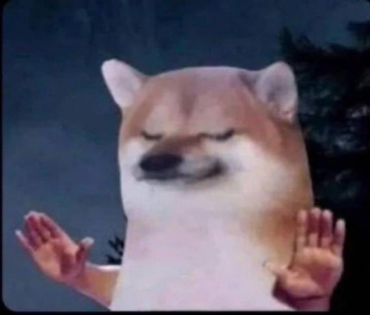 Bsss ab main agya hu koi chinta ki bat nhi hai 😙