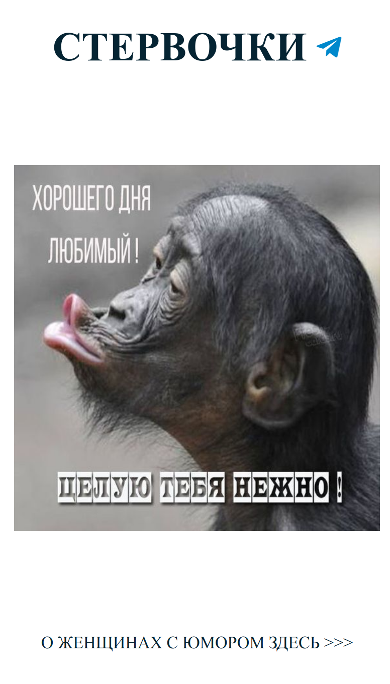 Join group chat on Telegram