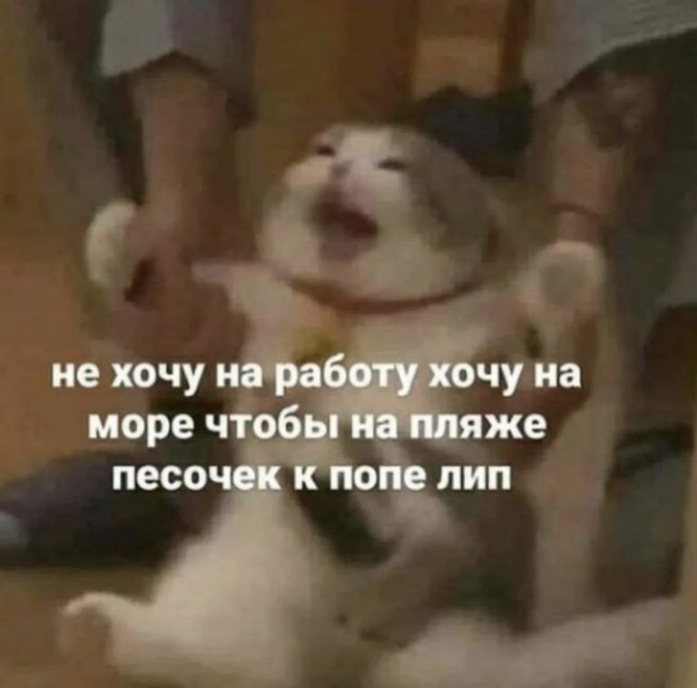 Юмор за день и метаболизм