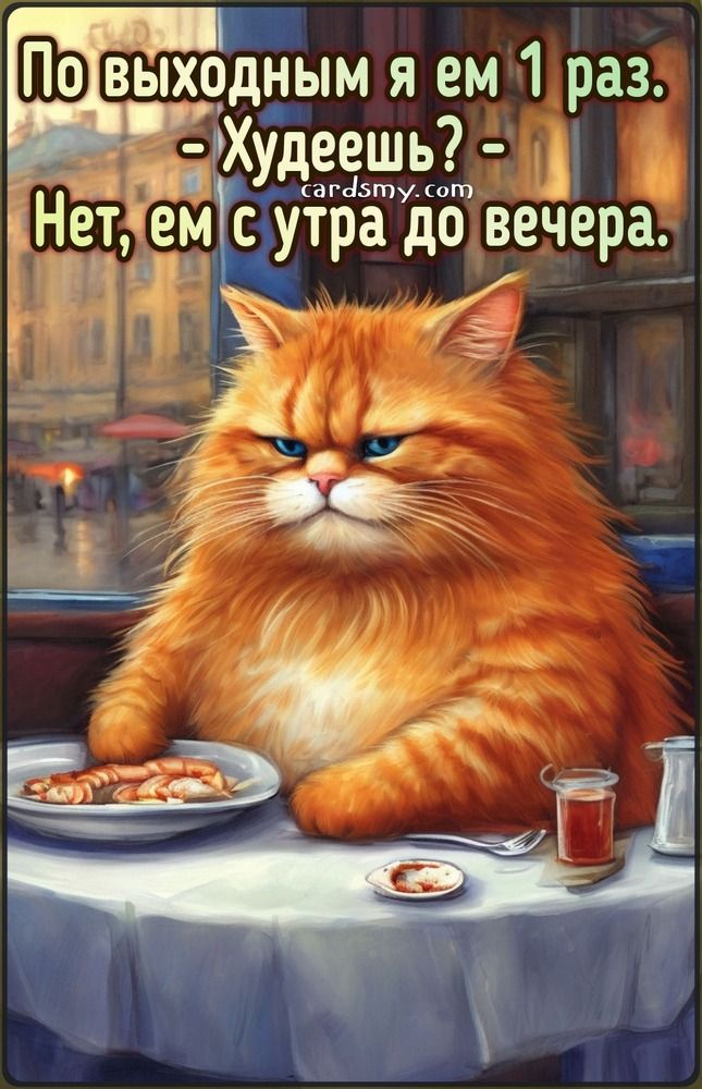 Открытка с толстым рыжим котом – Добрые современные открытки