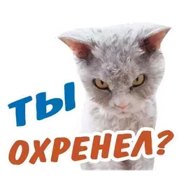 Набор стикеров для Telegram «Животные»