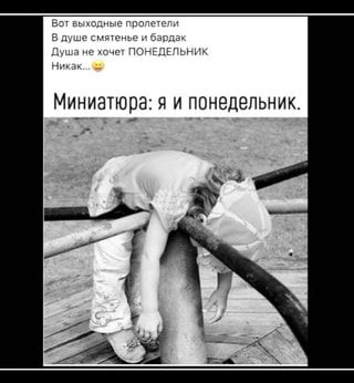 Вот выходные пролетели В душе смятенье и бардак Душа не хочет ПОНЕДЕЛЬНИК Никак. Миниатюра: я и понедельник. – АйДаПрикол