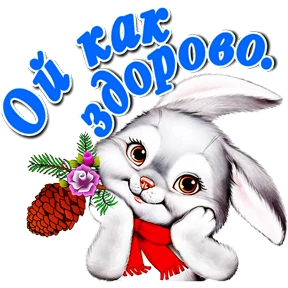 Выбираем сорта огурцов заранее. | Интересный контент в группе По секрету всему Свету! в ОК (Одноклассники)