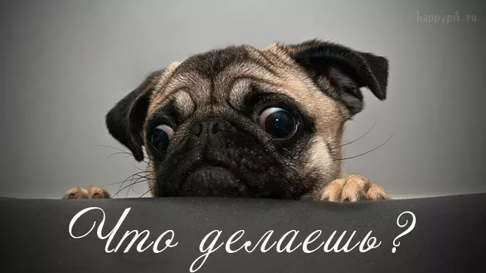 Картинки с надписью Что делаешь – скачать