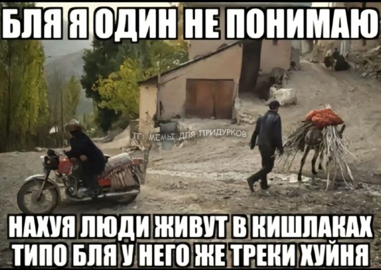 тг: мемы для придурков