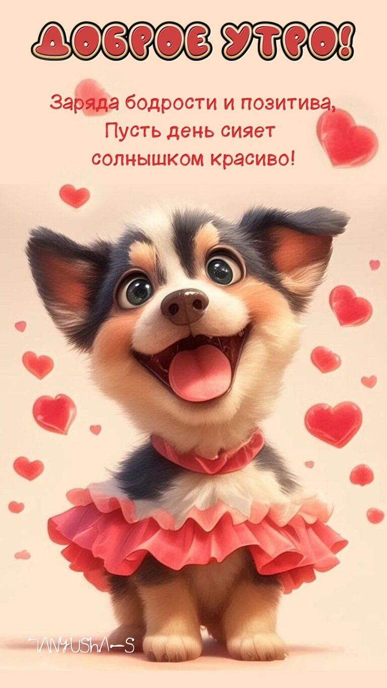 ДОБРОЕ УТРО!🐕