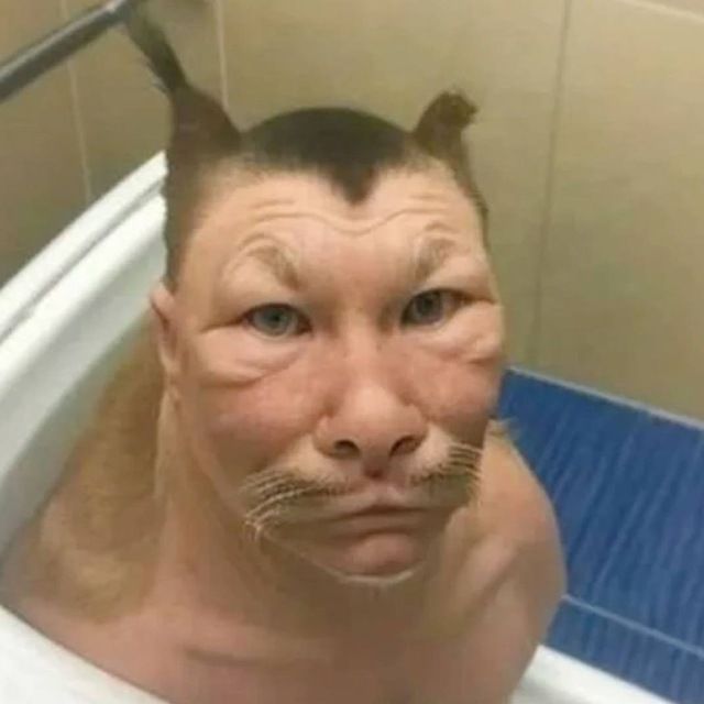 Google Image Result for https://i.pinimg.com/736x/6f/84/0d/6f840d26ac122c88b645c374d37c1dab.jpg