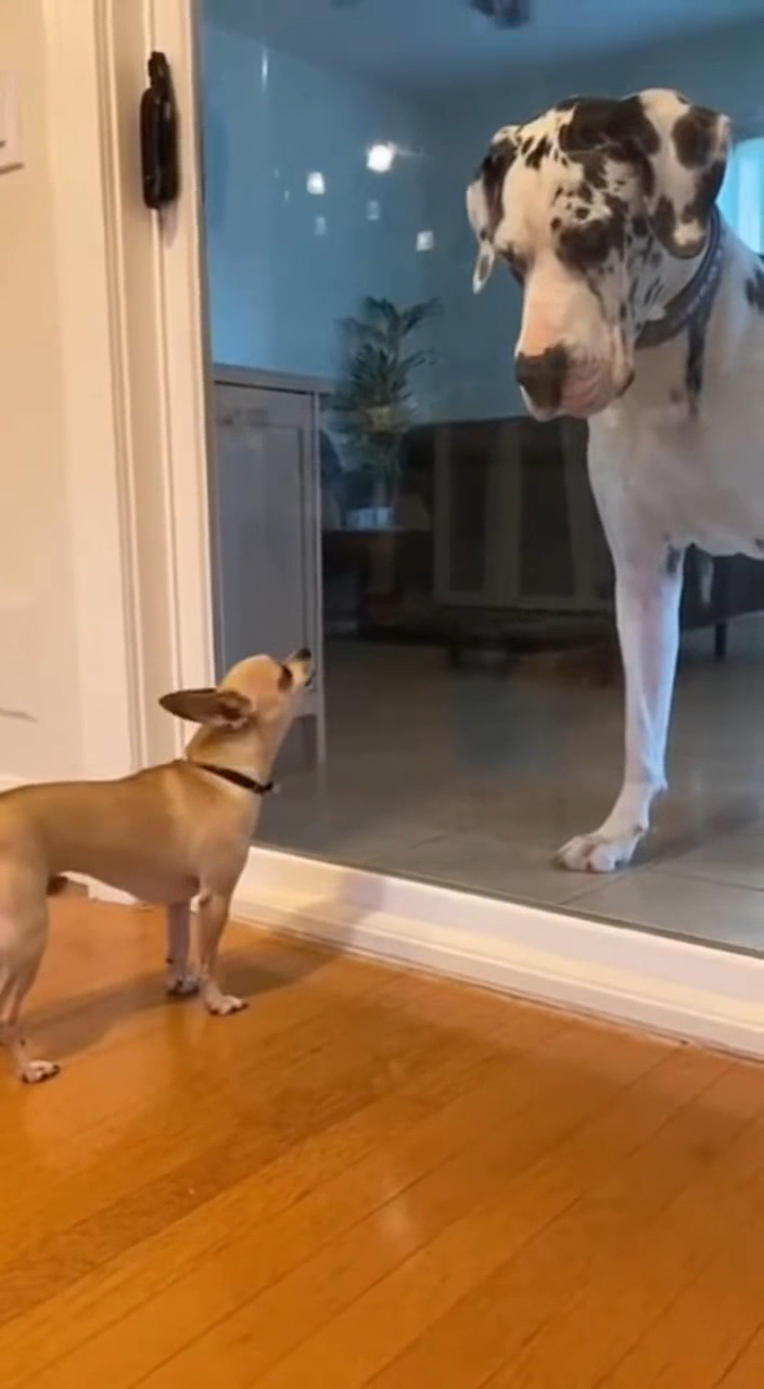 Простите, был неправ