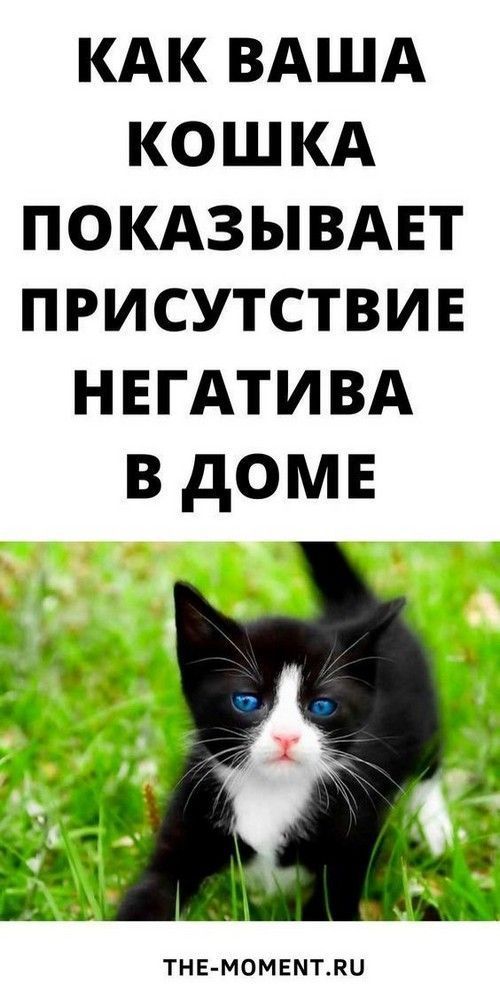 юмор очень смешно 312