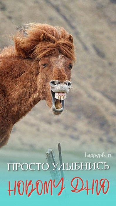 Картинки с надписями “Доброе утро!”