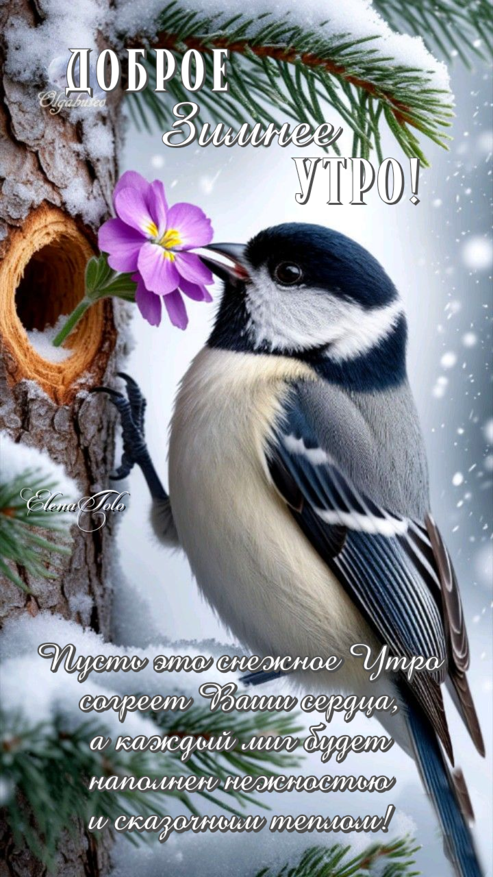 ❄🌸❄Доброе утро! 25.01.2026