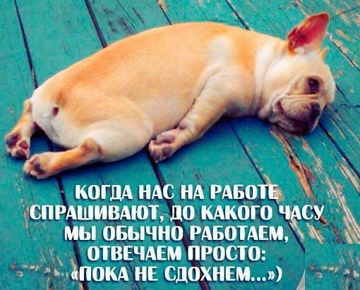 Когда нас на работе спрашивают, до какого часу мы обычно работаем, мы отвечаем просто: \