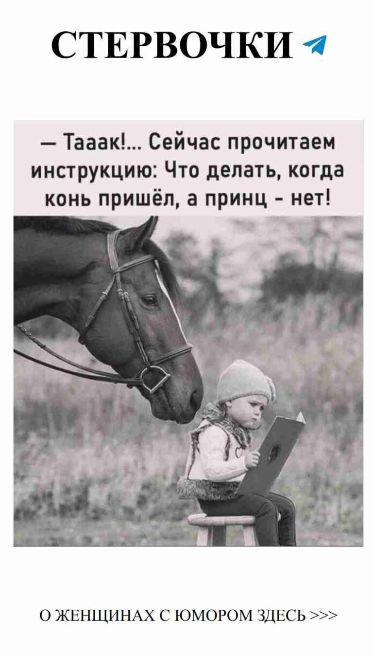 Любовь с юмором: самые смешные моменты из жизни