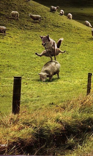 my grandpa has this picture on his fridge. it’s been there since i was little 😭