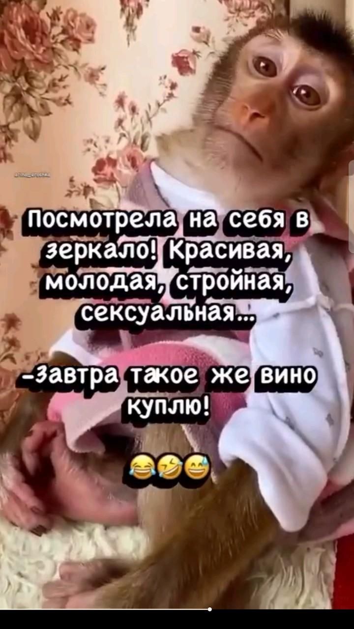 юморное видео приколы про телепатов открытки на каждый день, смех без правил