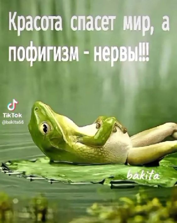 Красота спасёт мир, а пофигизм – нервы!!!