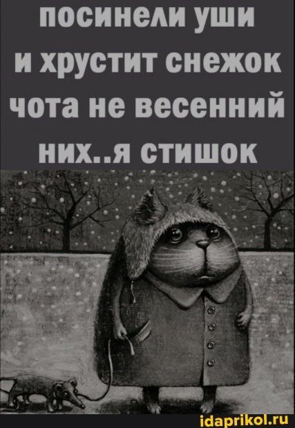 картинки смешные596