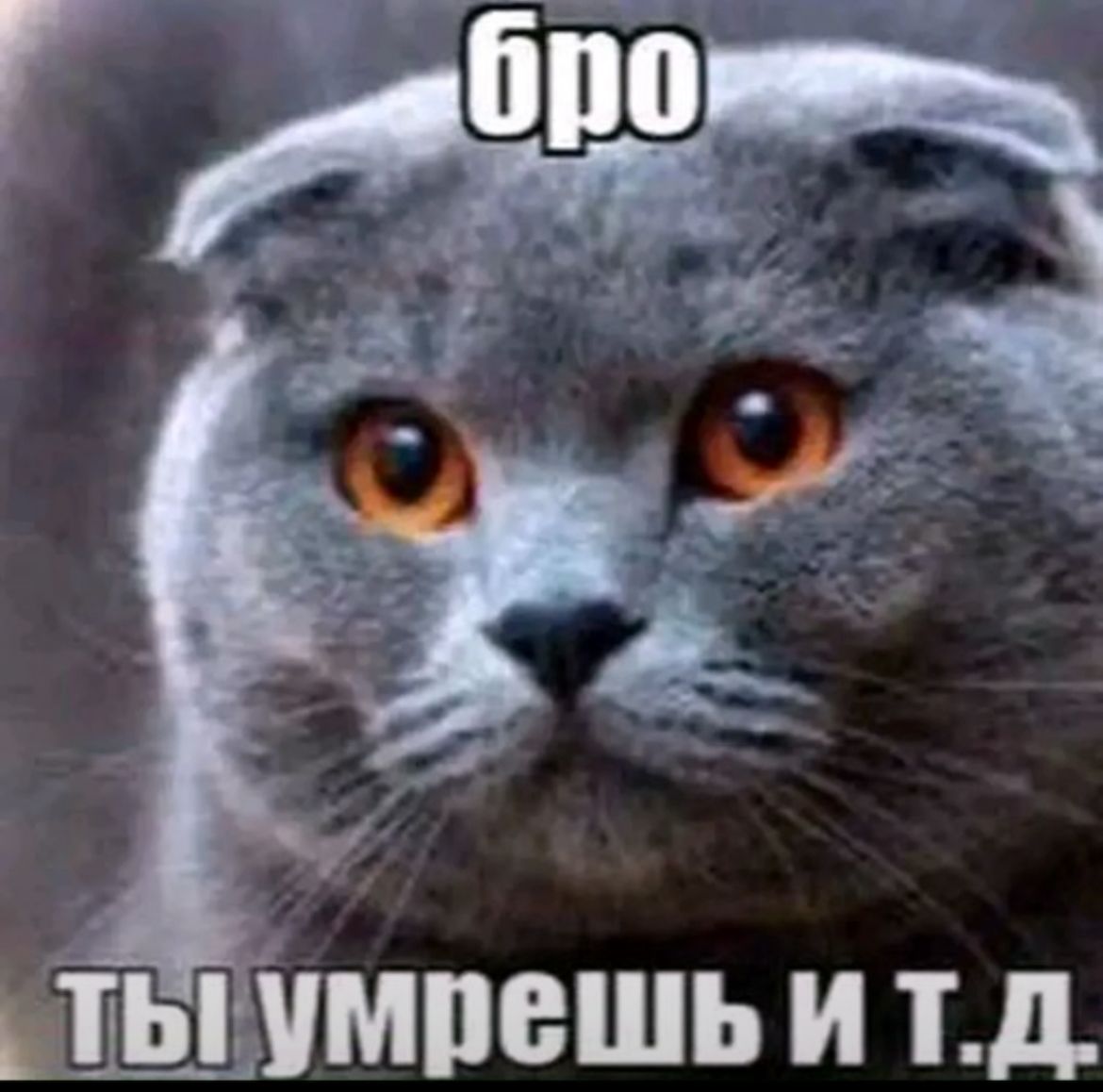 бро ты умрёшь и тд