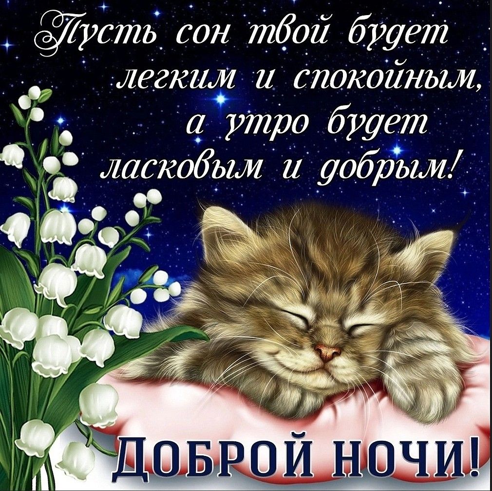 Доброй ночи!