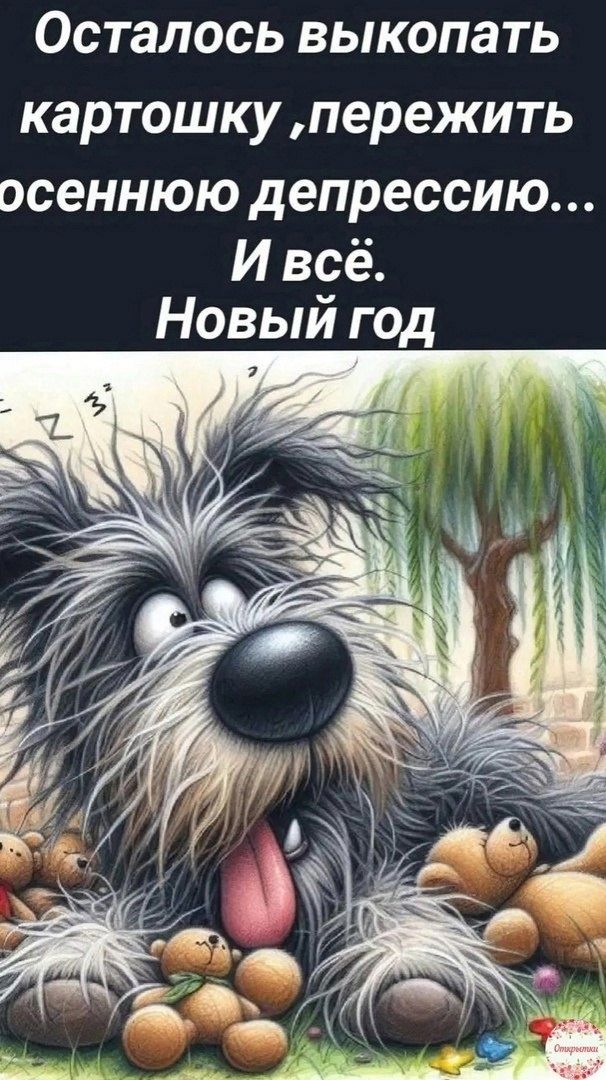 Женский Дневничок. О том, что важно. Пост со стены.