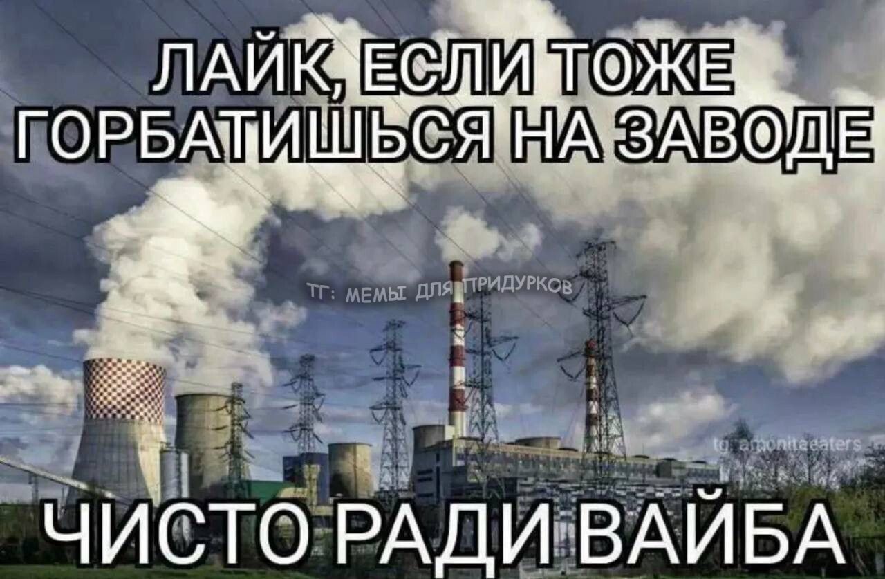 тг: мемы для придурков