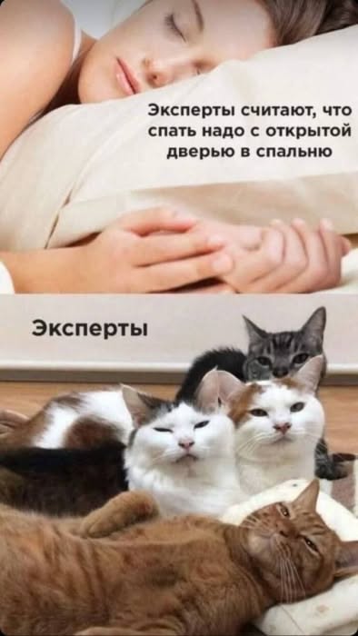 Лучшие шутки и мемы из сети – 29.01.2026 (15 фото)