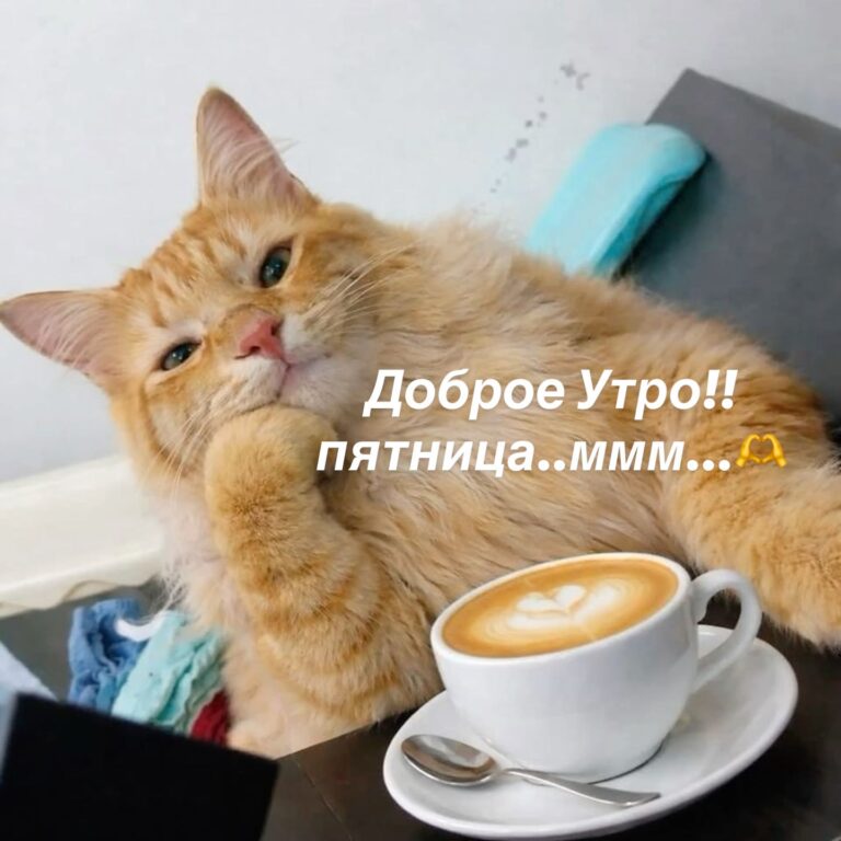 Доброе Утро!!пятница..ммм…🫶