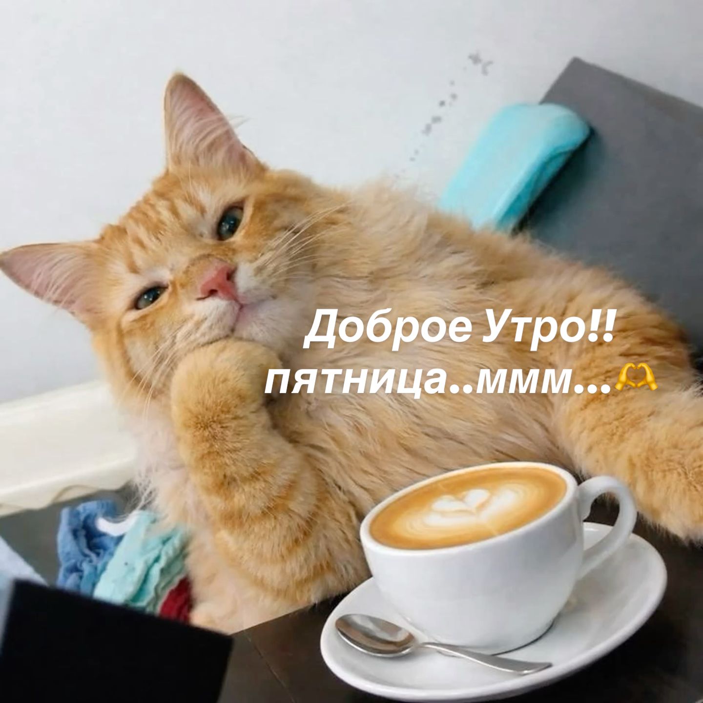 Доброе Утро!!пятница..ммм…🫶