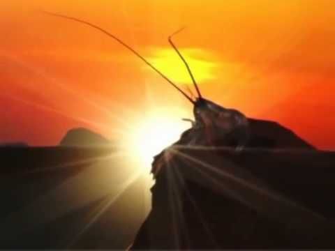 Рак на горе свистит