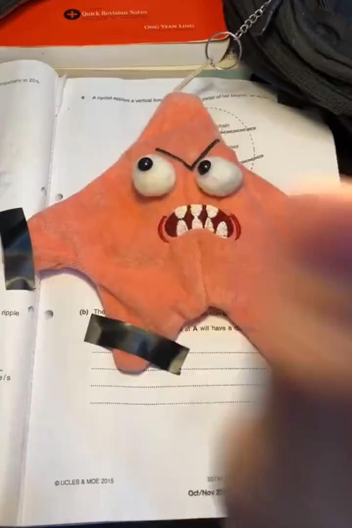 💡 Das Plüschtier, das deinen Raum erhellt