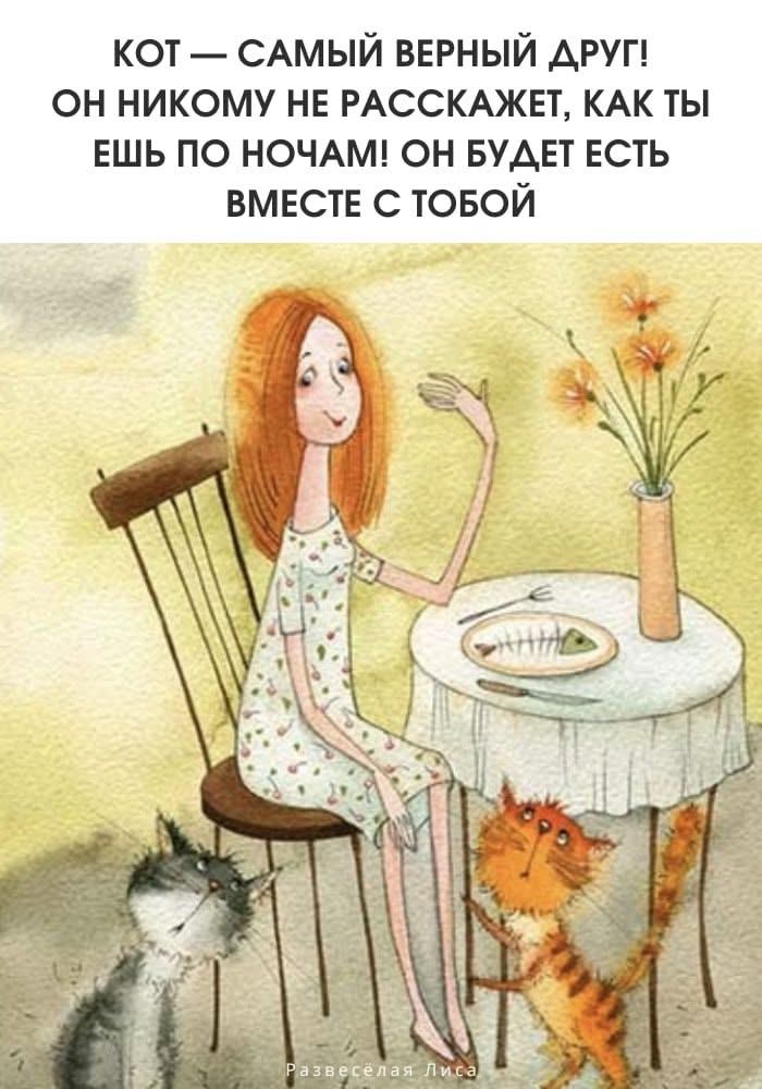 Развесёлая Лиса 🤩