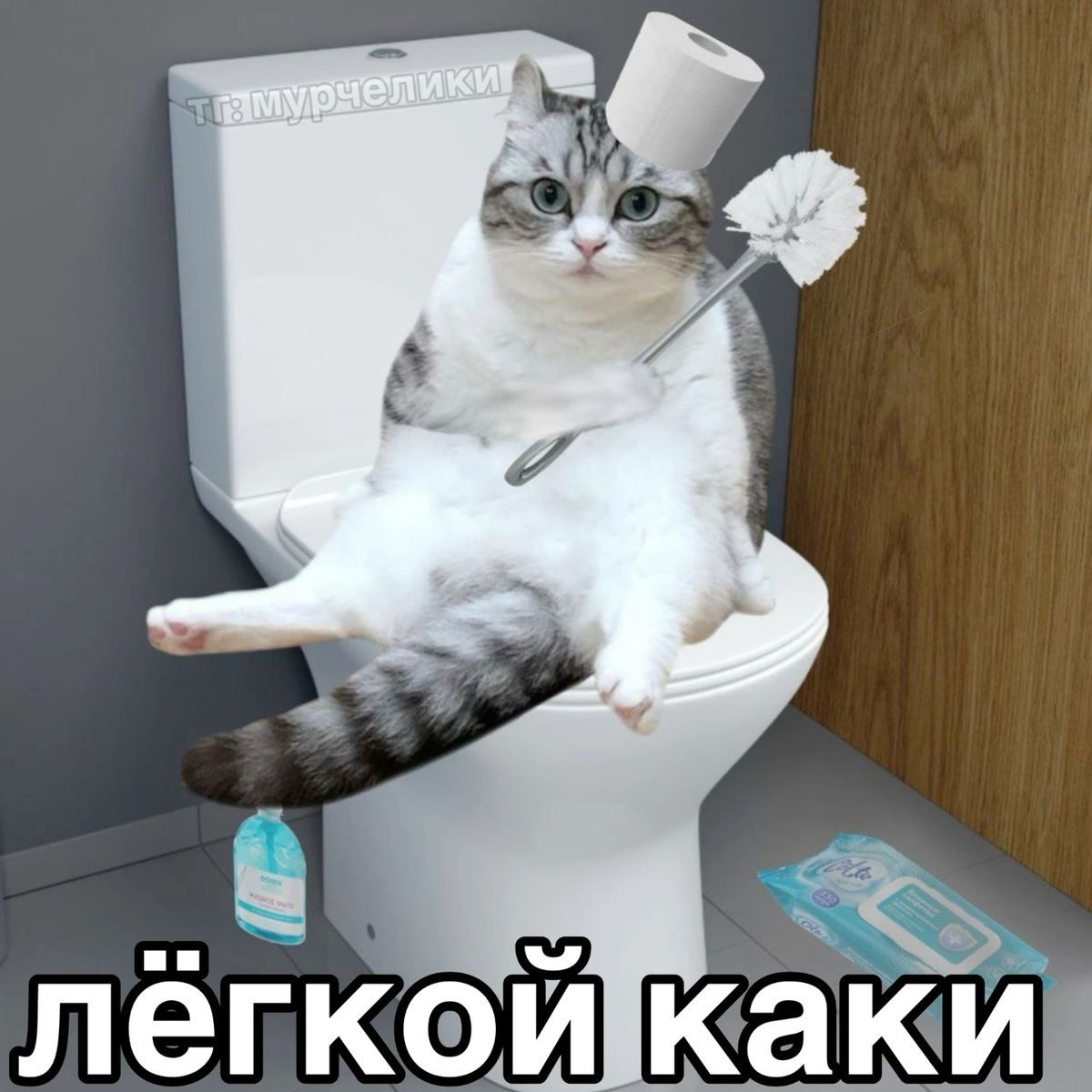 Кот мем