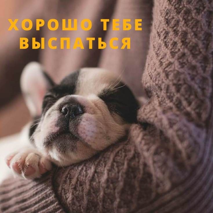Открытка Хорошо тебе выспаться