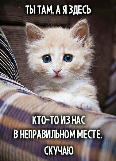 Интересные картинки