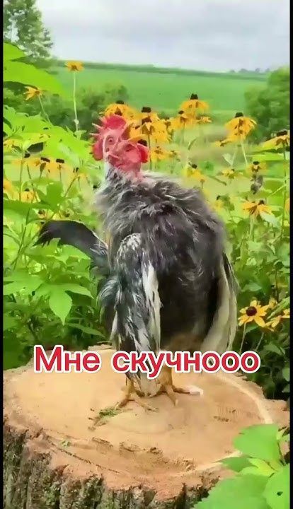 Получи сигнал.бота😁 #хорошегонастроения #доб🙂тут