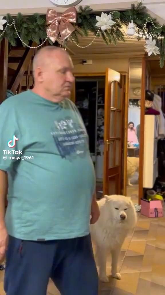 Питание, самостоятельность, семья